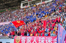 巴黎圣日耳曼的法甲统治与欧冠梦想